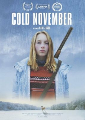 Холодный ноябрь (2017)